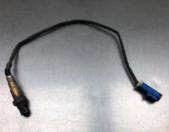 Lambda Sensor / NOx Sensor FORD C-MAX (DM2), FORD FOCUS C-MAX (DM2)