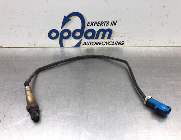 Lambda Sensor / NOx Sensor FORD C-MAX (DM2), FORD FOCUS C-MAX (DM2)