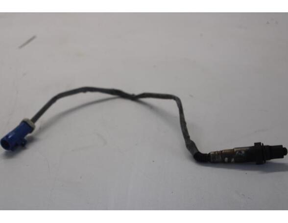 Lambdasonde / NOx Sensor FORD FOCUS C-MAX (DM2), FORD C-MAX (DM2)