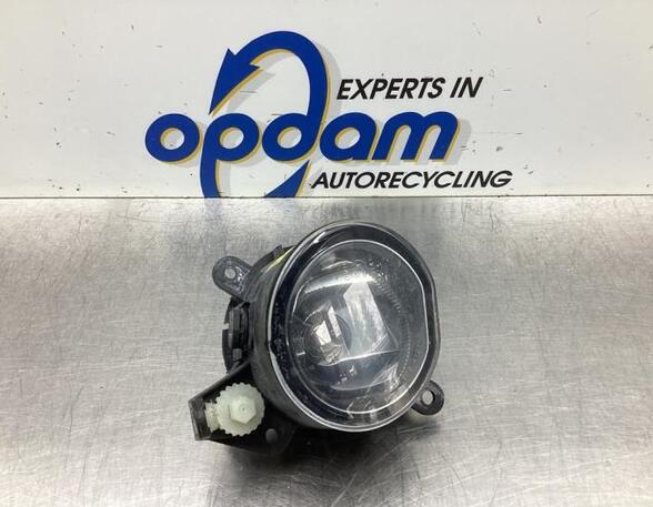 Fog Light MINI MINI (R50, R53), MINI MINI (R56)