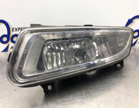 Fog Light VW POLO (6R1, 6C1), VW POLO Van (6R)