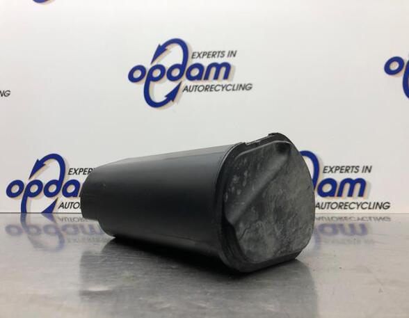 Diesel Particulate Filter (DPF) RENAULT MEGANE IV Hatchback (B9A/M/N_)