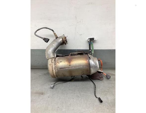 Diesel Particulate Filter (DPF) RENAULT KANGOO Express (FW0/1_)