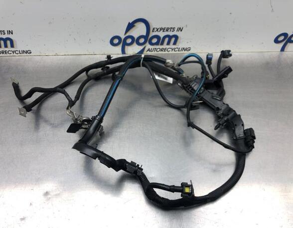 Wiring Harness PEUGEOT 2008 I (CU_)