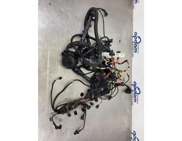 Wiring Harness BMW 5 (E60), BMW 5 (F10)