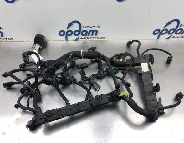 Wiring Harness PEUGEOT 2008 I (CU_)