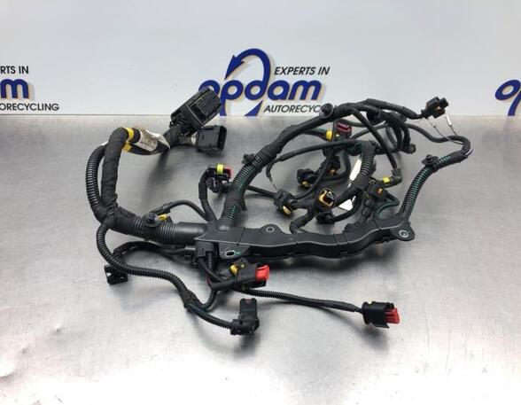 Wiring Harness FIAT 500 (312_), FIAT 500 C (312_), ABARTH 500 / 595 / 695 (312_), ABARTH 500C / 595C / 695C (312_)