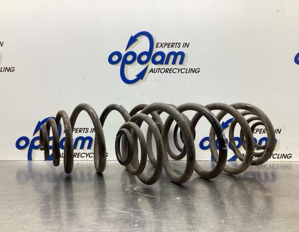 Coil Spring RENAULT KANGOO Express (FW0/1_), RENAULT KANGOO / GRAND KANGOO (KW0/1_)