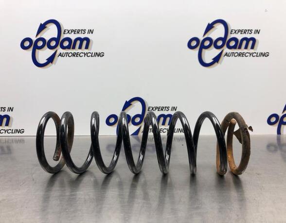 Coil Spring FORD FOCUS (DAW, DBW)