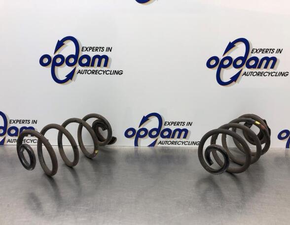 Coil Spring RENAULT CLIO III (BR0/1, CR0/1), RENAULT CLIO IV (BH_), RENAULT CLIO II (BB_, CB_)