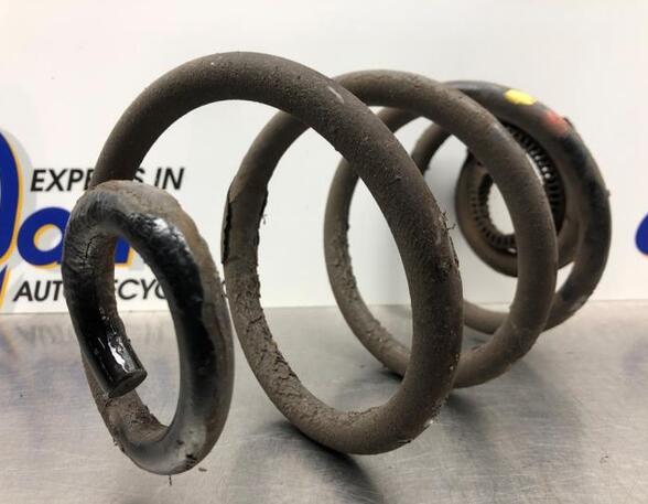 Coil Spring RENAULT CLIO III (BR0/1, CR0/1), RENAULT CLIO IV (BH_), RENAULT CLIO II (BB_, CB_)