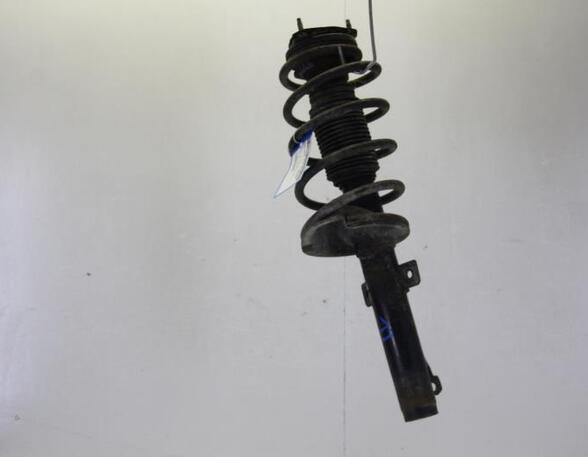 Suspension Strut FORD TRANSIT CONNECT (P65_, P70_, P80_)