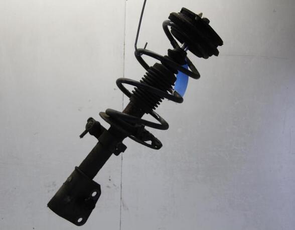 Suspension Strut RENAULT LAGUNA II (BG0/1_)