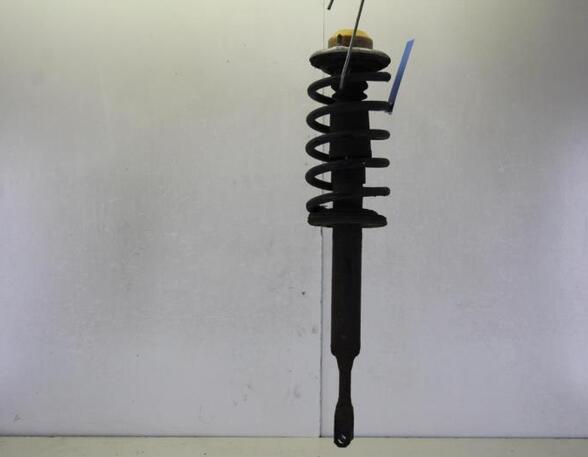 Suspension Strut VW PASSAT Variant (3B6)