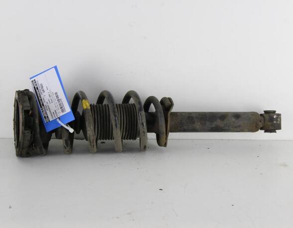 Suspension Strut NISSAN PRIMERA Estate (WP12)