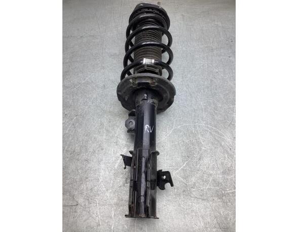 Suspension Strut FORD PUMA (J2K, CF7)