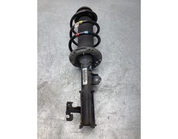 Suspension Strut KIA PICANTO (JA), KIA PICANTO (TA)