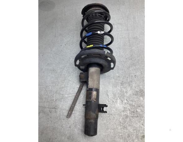 Suspension Strut CITROËN C3 II (SC_), CITROËN C3 III (SX)