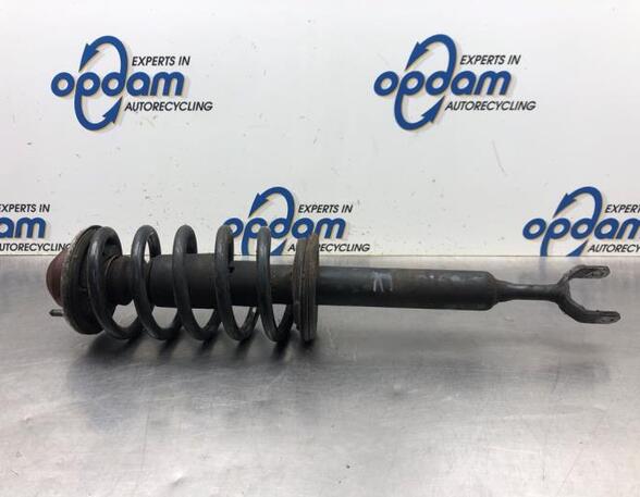 Suspension Strut VW PASSAT Variant (3B6)