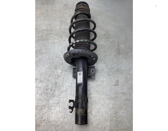 Suspension Strut SKODA FABIA III Estate (NJ5), SKODA RAPID (NH3, NK3, NK6)