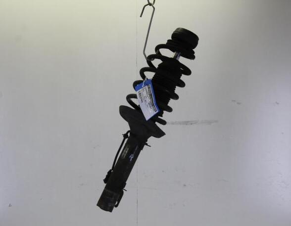 Suspension Strut VW NEW BEETLE (9C1, 1C1)