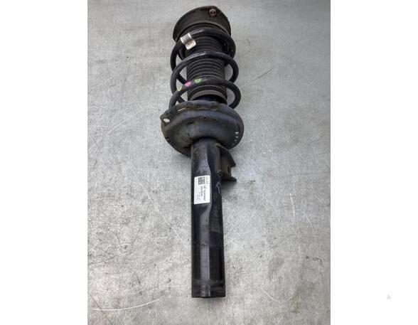 Suspension Strut SKODA KODIAQ (NS7, NV7, NS6)