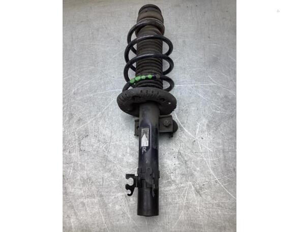 Suspension Strut SEAT IBIZA IV ST (6J8, 6P8), SEAT IBIZA IV (6J5, 6P1), SEAT IBIZA IV SC (6J1, 6P5)