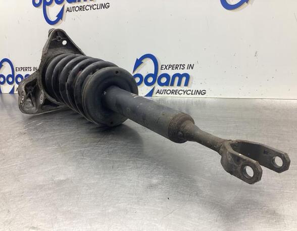 Suspension Strut AUDI A6 (4B2, C5)