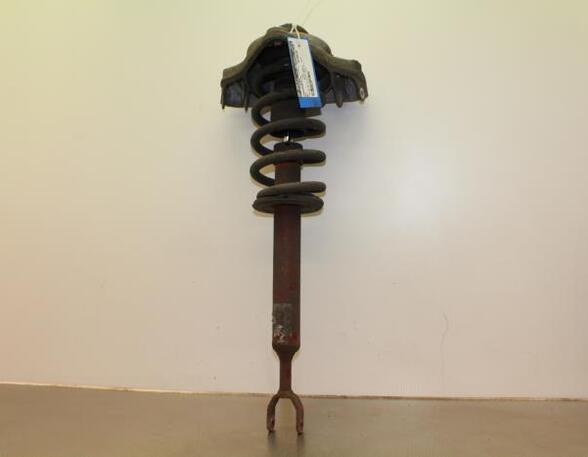 Suspension Strut AUDI A6 (4F2, C6)