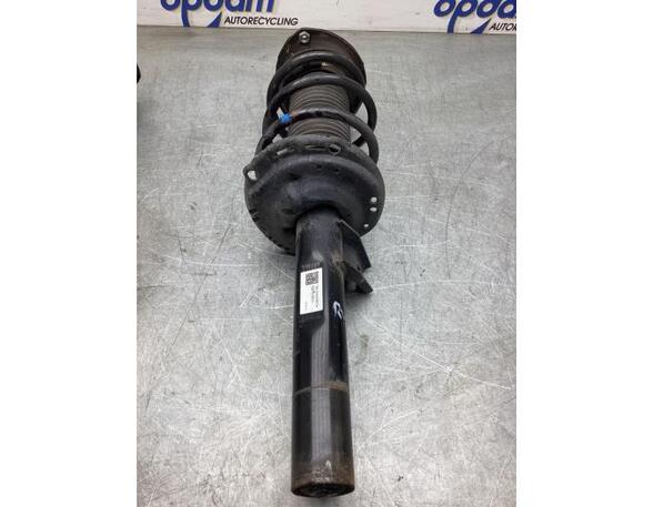 Suspension Strut VW GOLF VII (5G1, BQ1, BE1, BE2)