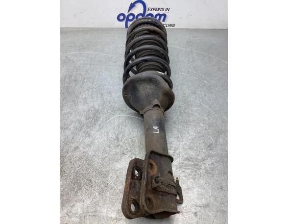 Suspension Strut LAND ROVER FREELANDER (L314)