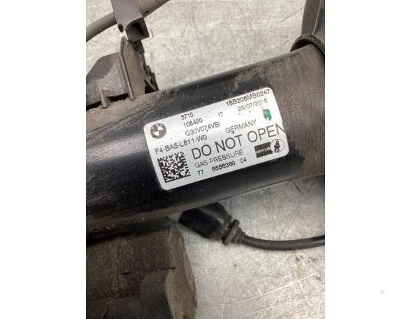 Suspension Strut BMW 5 (G30, F90)