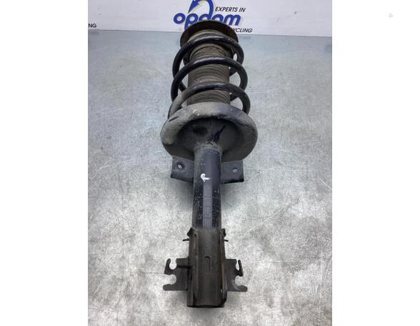 Suspension Strut RENAULT MASTER III Platform/Chassis (EV, HV, UV)