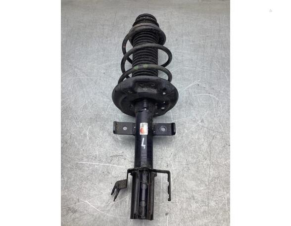 Suspension Strut RENAULT CLIO V (B7_)