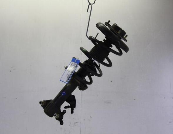 Suspension Strut NISSAN PRIMERA Estate (WP12)