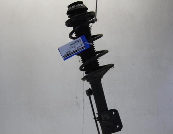 Suspension Strut SUZUKI ALTO (GF)