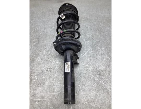 Suspension Strut SKODA KODIAQ (NS7, NV7, NS6)