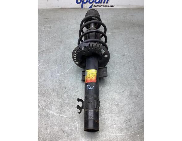 Suspension Strut VW POLO (6R1, 6C1), VW POLO Van (6R)