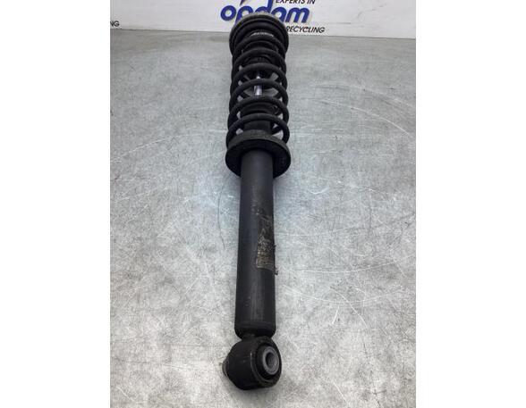 Suspension Strut BMW 5 (F10)