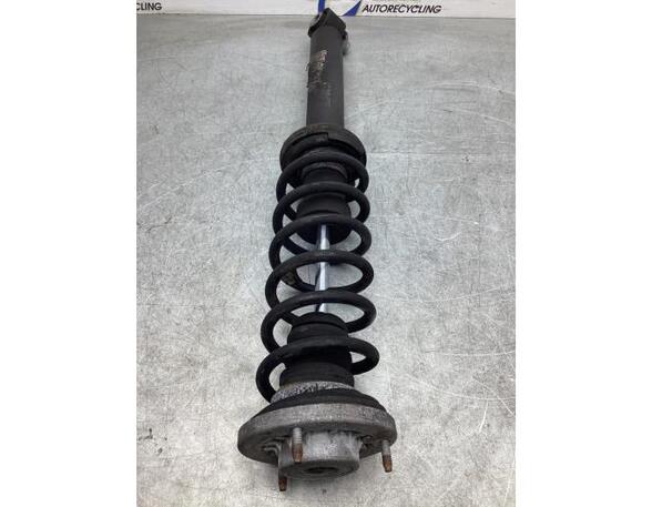 Suspension Strut BMW 5 (F10)