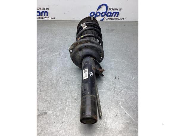 Suspension Strut VW T-ROC (A11, D11)