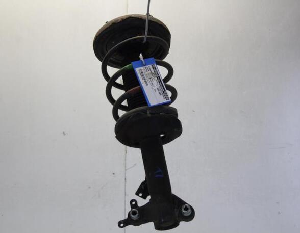 Suspension Strut NISSAN PRIMERA Estate (WP12)