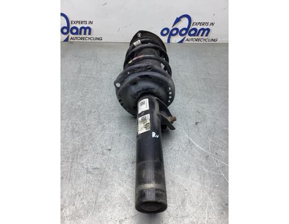 Suspension Strut VW TIGUAN (AD1, AX1), VW TIGUAN ALLSPACE (BW2)