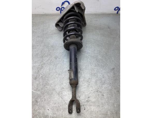 Suspension Strut AUDI A6 Avant (4F5, C6)