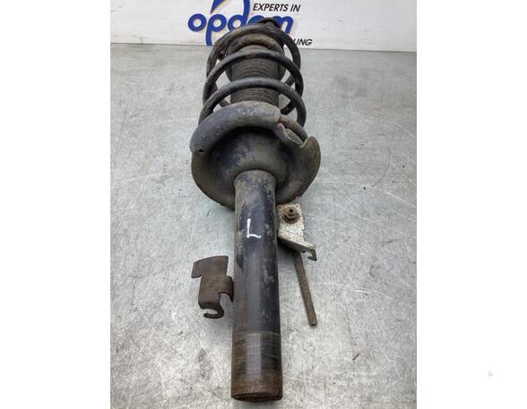 Suspension Strut FORD C-MAX (DM2)