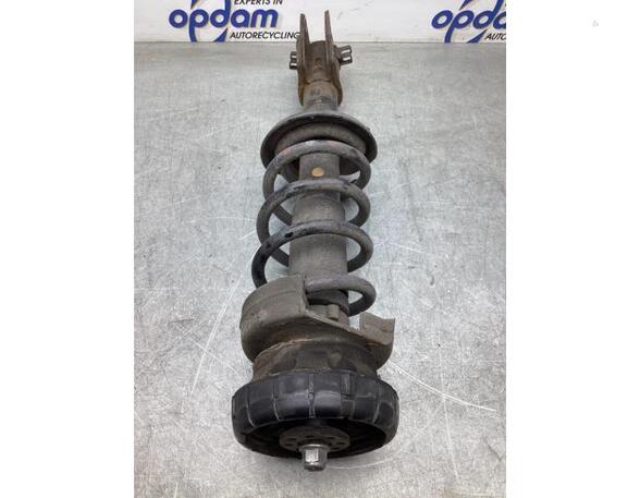 Federbein links vorne Renault Trafic III Kasten  543027852R P19327586