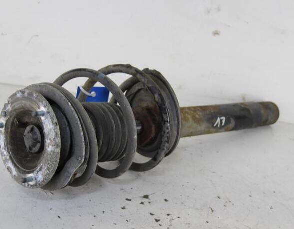 Suspension Strut BMW 3 Touring (E46)