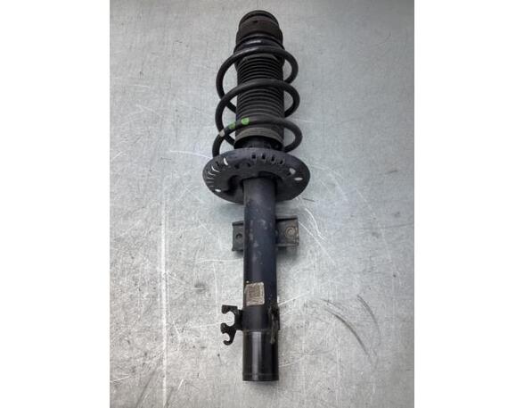 Suspension Strut VW UP! (121, 122, BL1, BL2, BL3, 123), VW LOAD UP (121, 122, BL1, BL2)