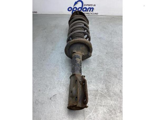 Suspension Strut DAIHATSU TERIOS (J2_)