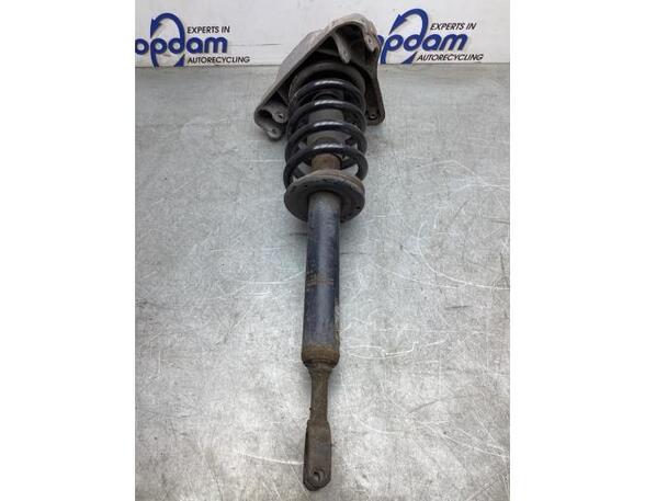 Suspension Strut AUDI A6 Avant (4F5, C6)